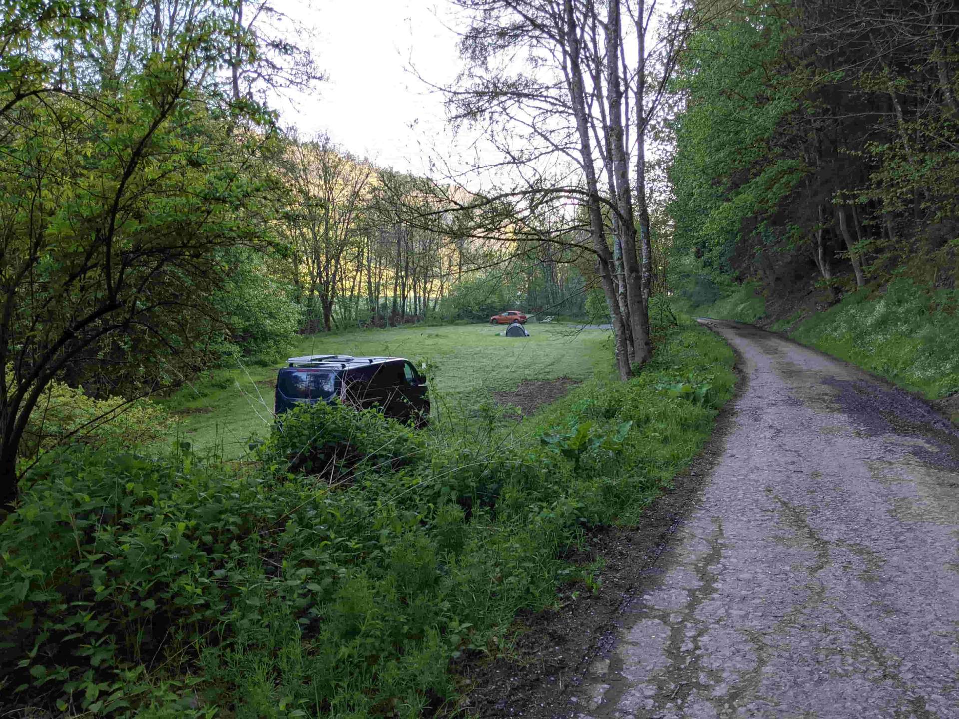 Back 2 Basic Wiese im Wald