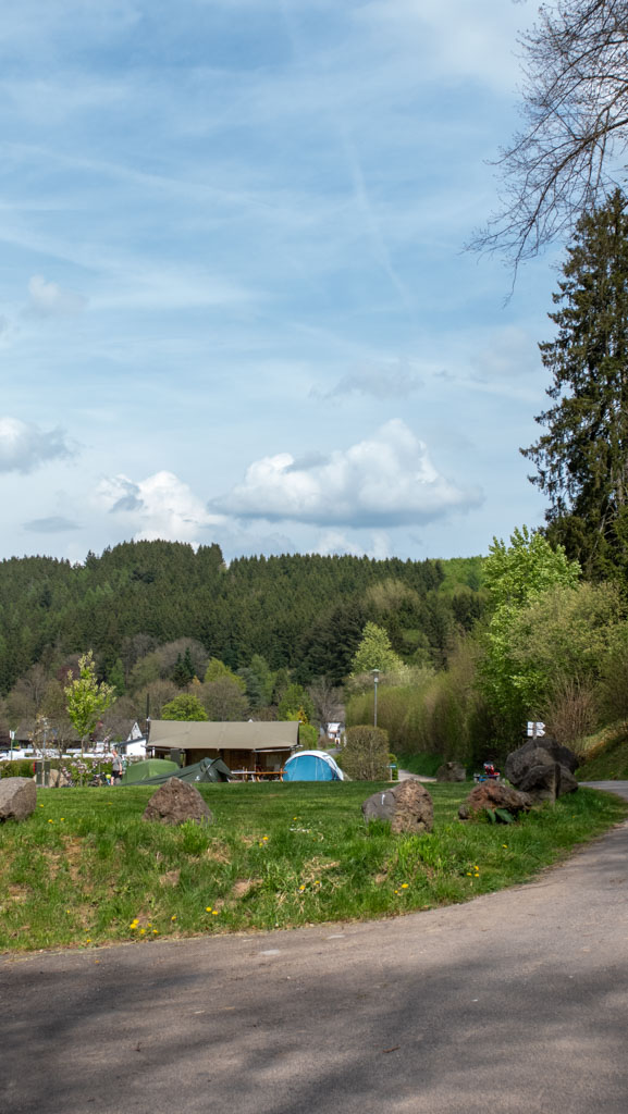 Blick über den Platz Richtung Wald