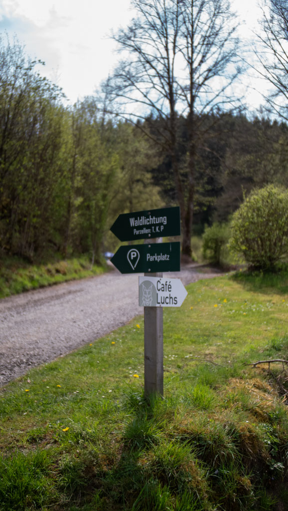 Wegweiser zu Waldlichtung und Café Luchs