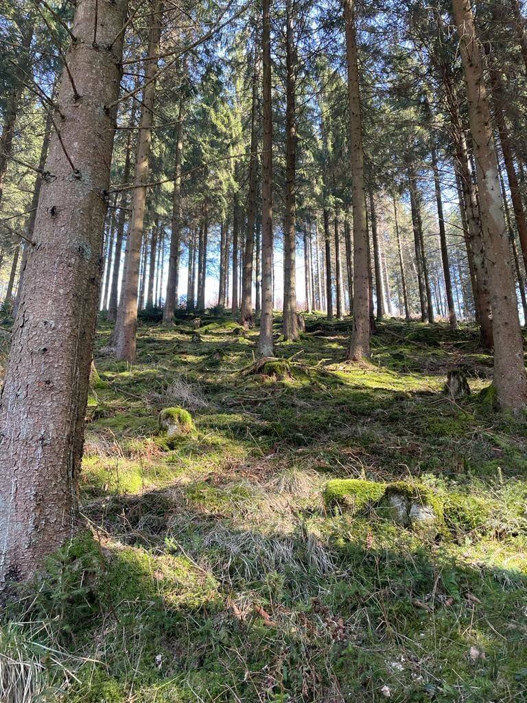 Natuurworkshop voor Kinderen