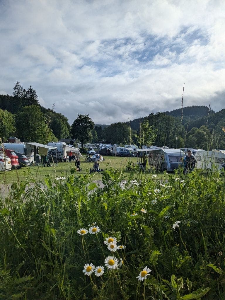 Blumenwiese mit Wohnwagen