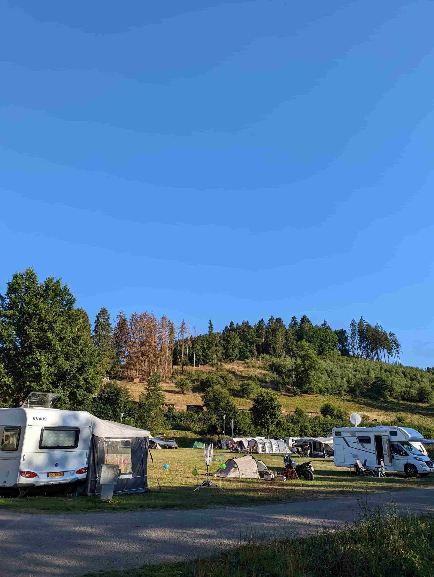 Wohnmobile am Waldrand