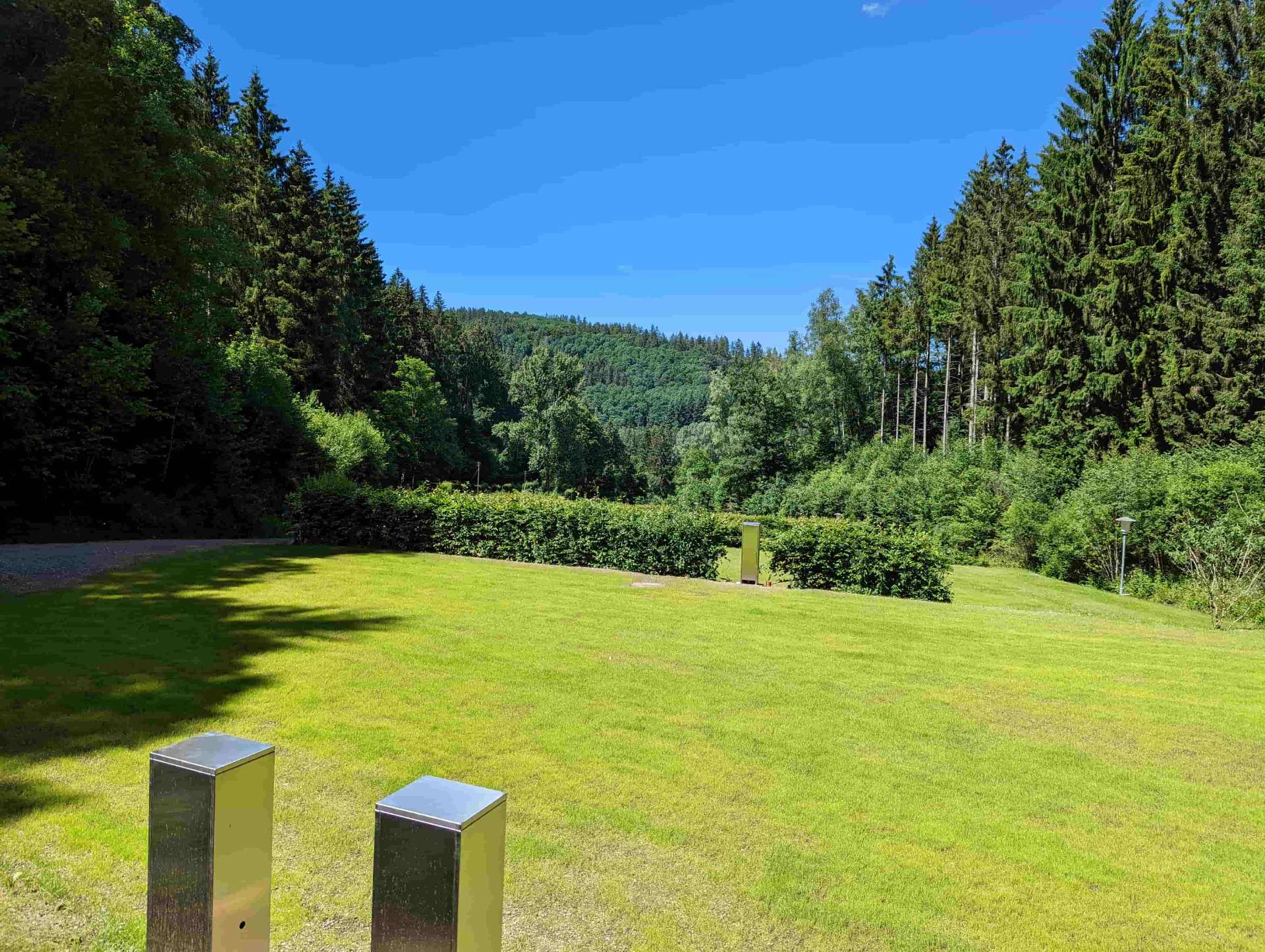 Stellplätze auf der Waldlichtung