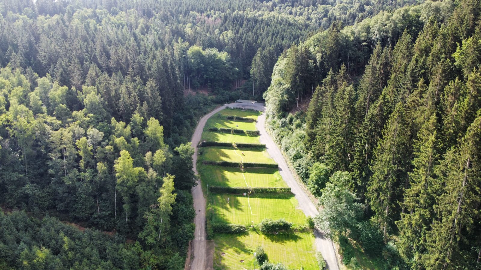 Luftaufnahme der Waldlichtung